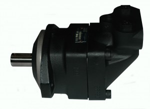 Variable Piston